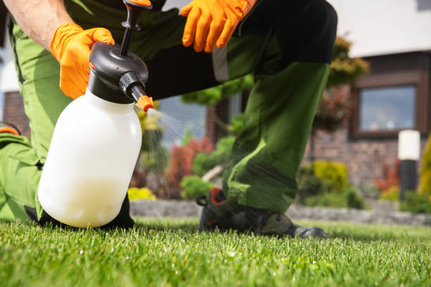 Best Pest Control Treatment  in Smithsburg, MD