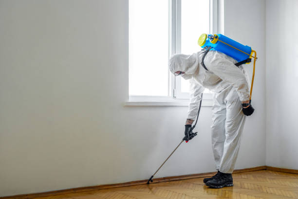 Best Mosquito Control Services  in Smithsburg, MD