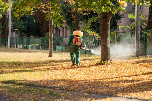 Best Wasp Removal Services  in Smithsburg, MD